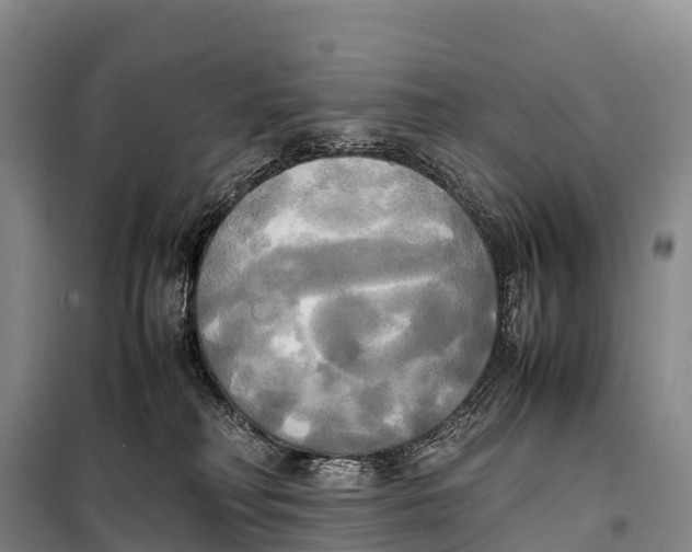 X0000099230230200805151637