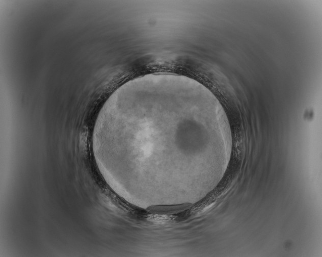 X0000099230231200805151637