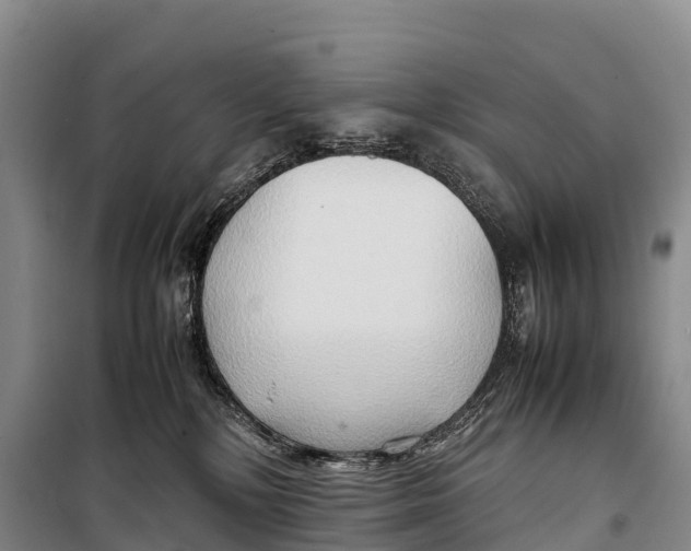 X0000099230232200805151637