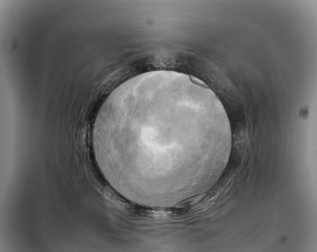 X0000099230233200805151637