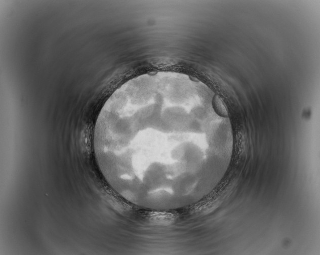 X0000099230234200805151637