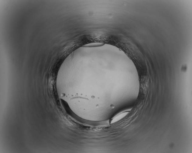 X0000099230235200805151637