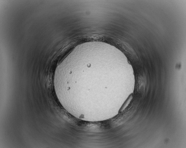 X0000099230236200805151637