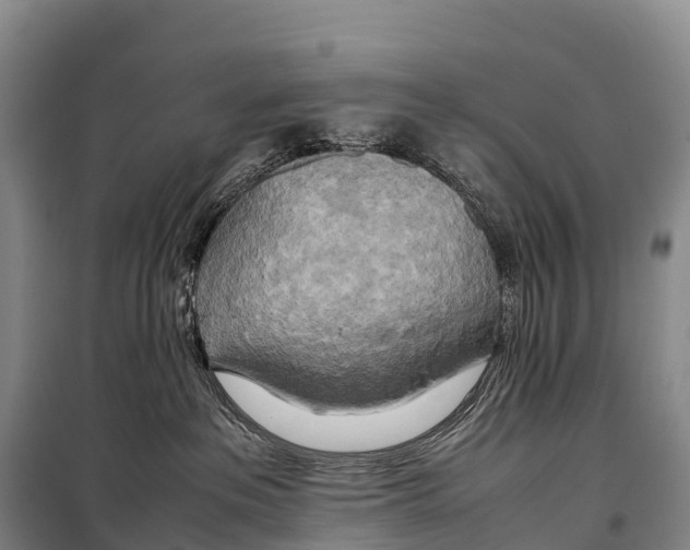 X0000099230237200805151637