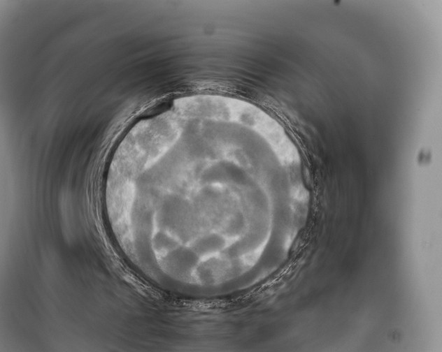 X0000099230241200805151636