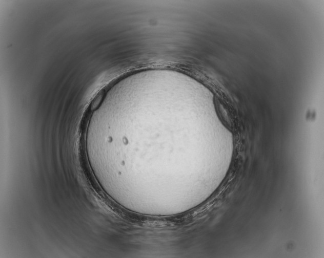 X0000099230242200805151636