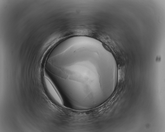 X0000099230243200805151636