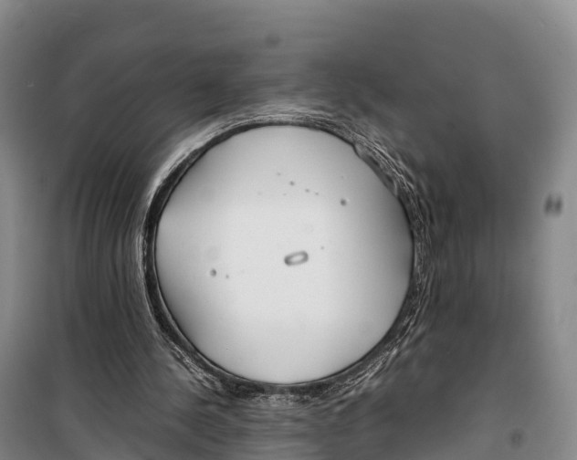 X0000099230244200805151636