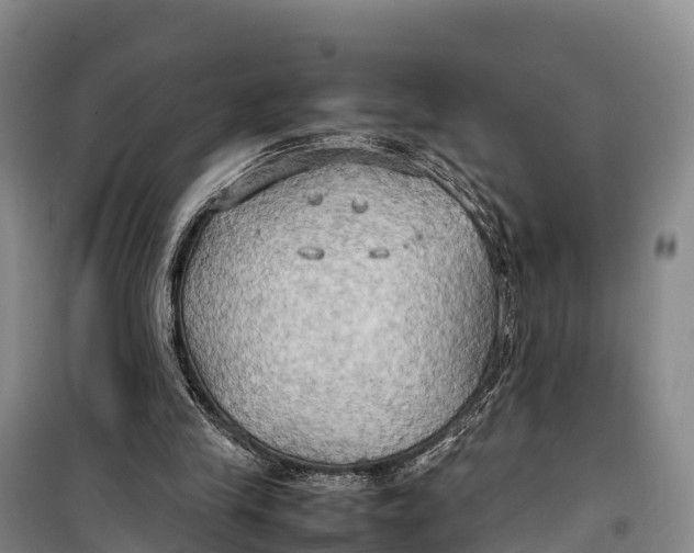 X0000099230245200805151636