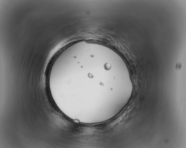 X0000099230246200805151636