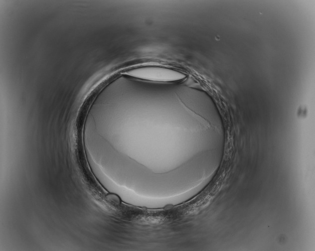 X0000099230247200805151636