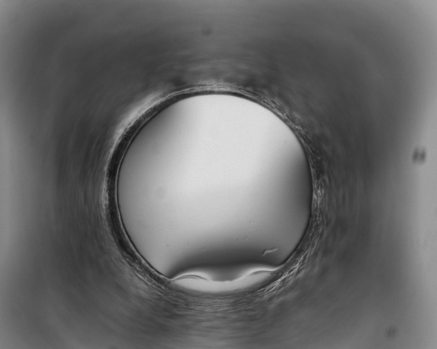 X0000099230248200805151636