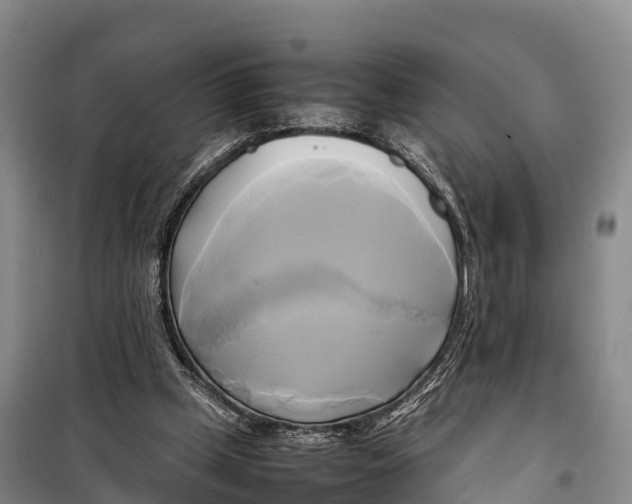 X0000099230249200805151636