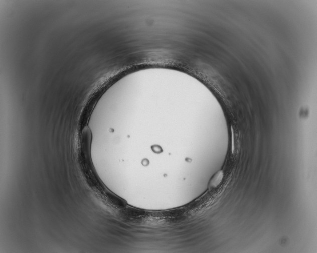 X0000099230252200805151636