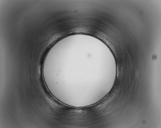 X0000099230253200805151636