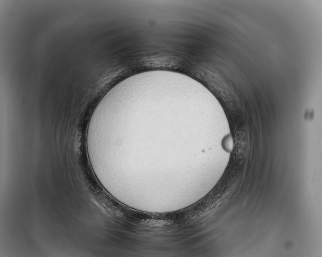 X0000099230255200805151636