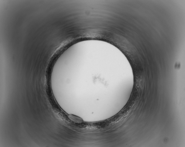 X0000099230256200805151636