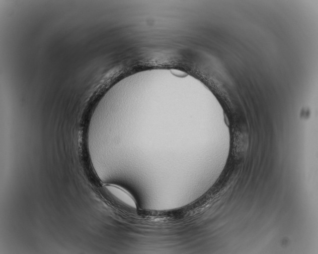 X0000099230260200805151636