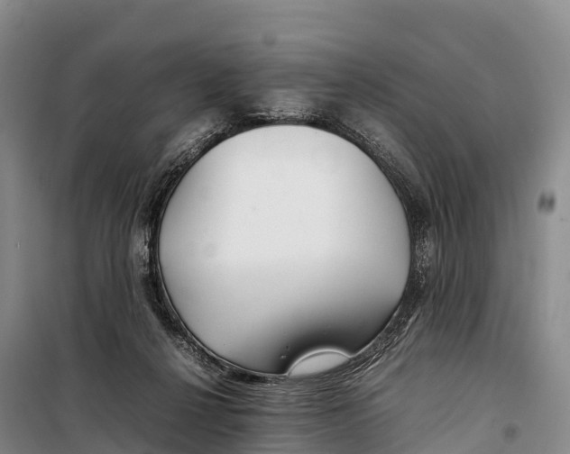 X0000099230264200805151636