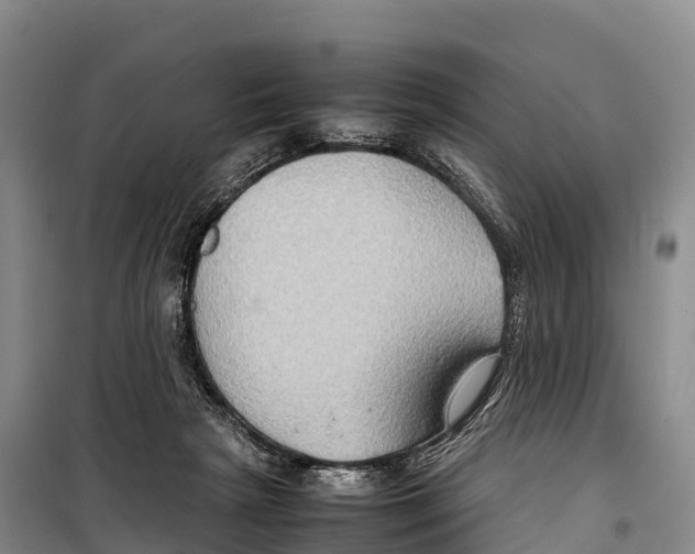 X0000099230265200805151636