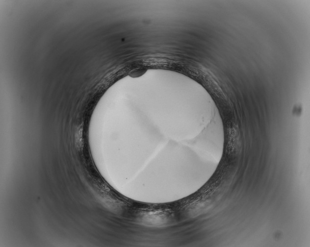 X0000099230267200805151636