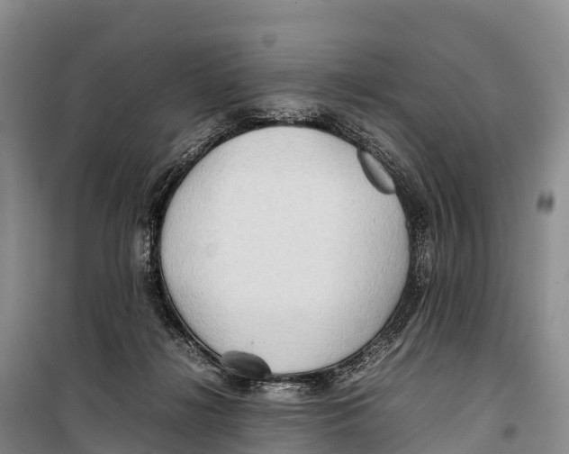 X0000099230268200805151636