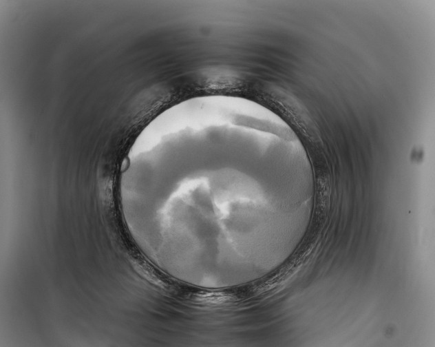 X0000099230269200805151636