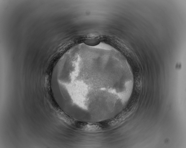 X0000099230270200805151636