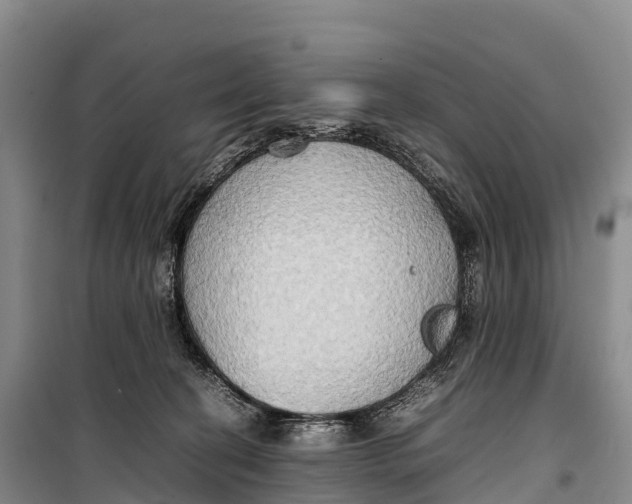 X0000099230274200805151636