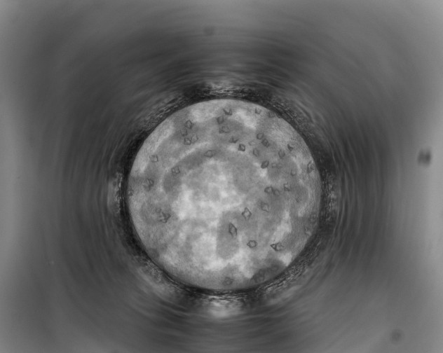 X0000099230275200805151636