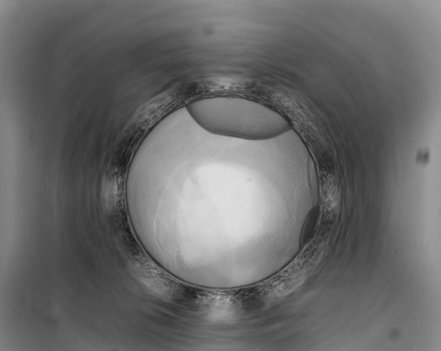 X0000099230276200805151636