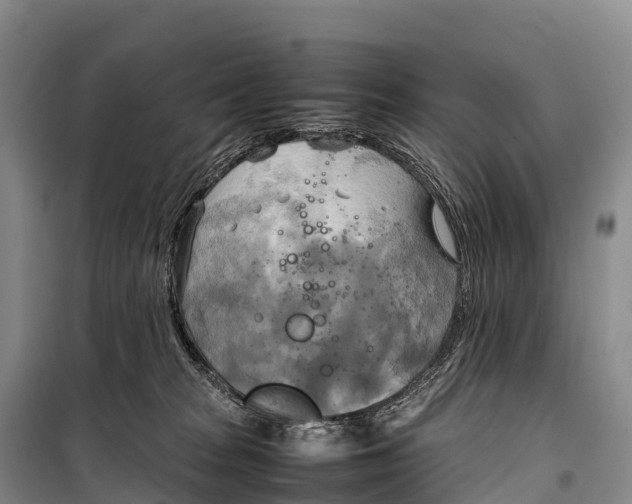 X0000099230277200805151636