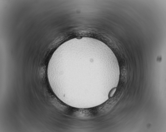 X0000099230278200805151636