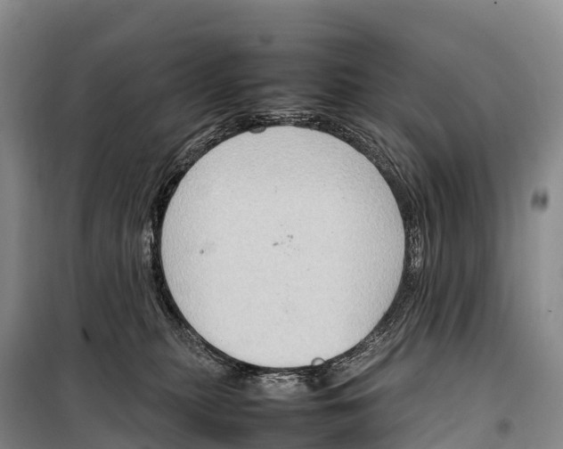 X0000099230279200805151636