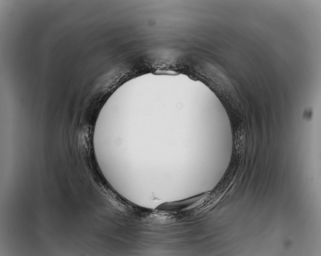 X0000099230280200805151636