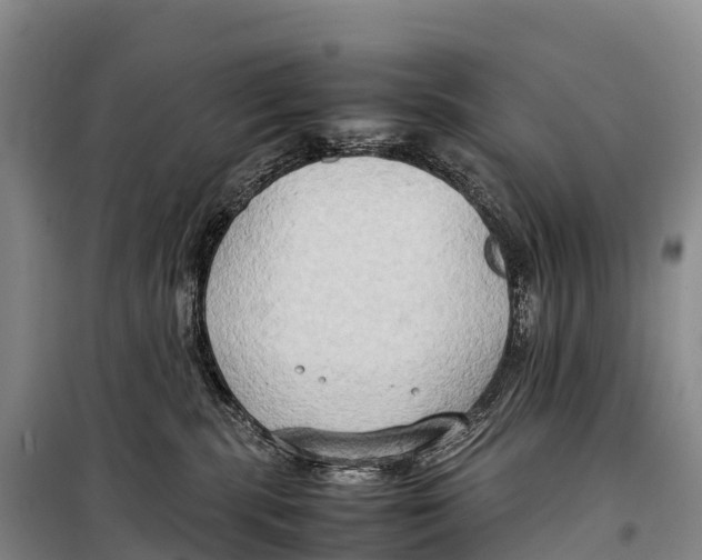 X0000099230283200805151636