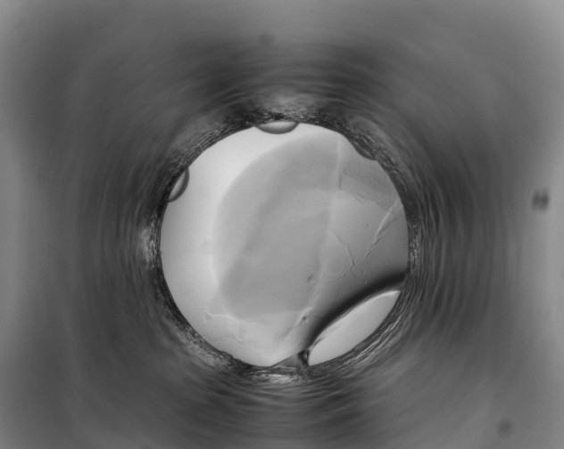 X0000099230285200805151636