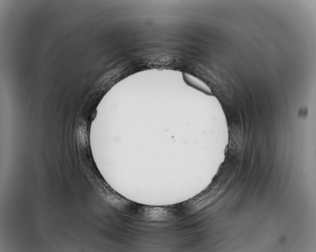 X0000099230287200805151636