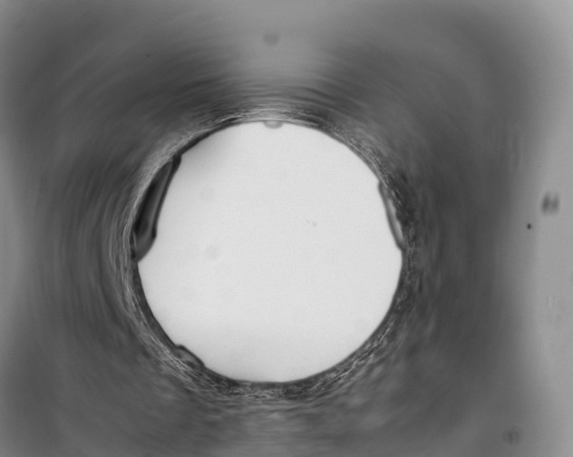 X0000099230289200805151636