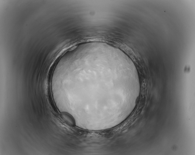 X0000099230290200805151636