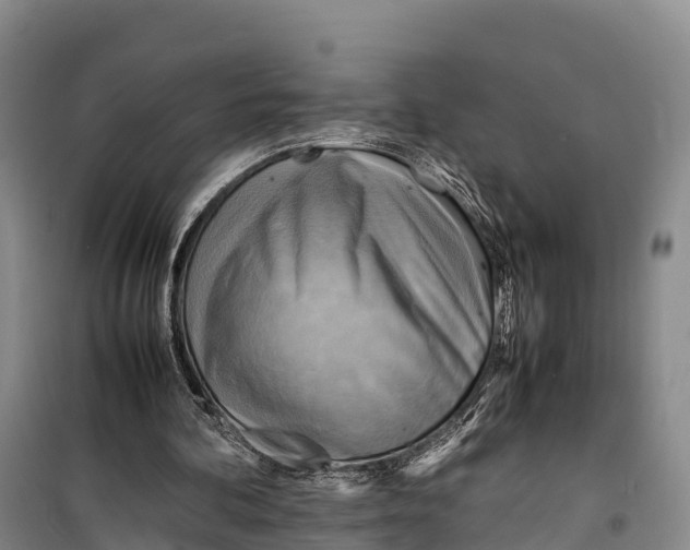 X0000099230292200805151636