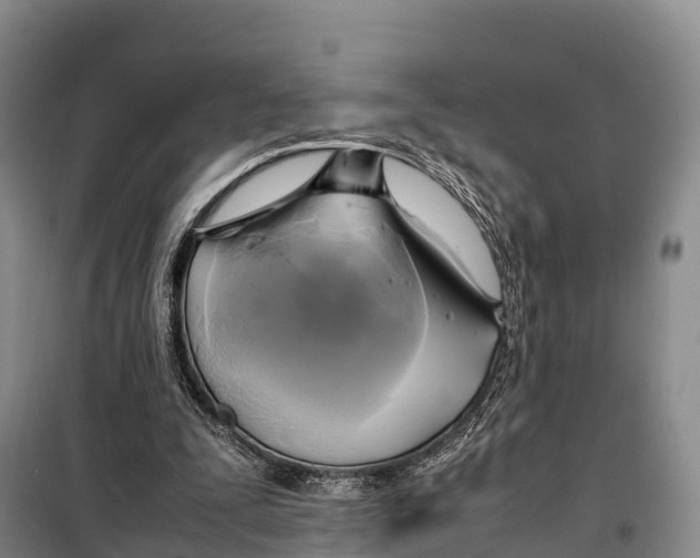 X0000099230295200805151636