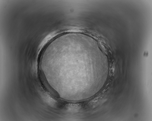 X0000099230296200805151636