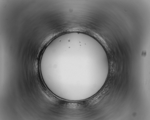 X0000099230298200805151636