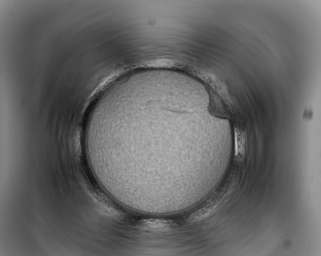 X0000099230300200805151636