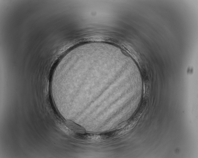 X0000099230301200805151636