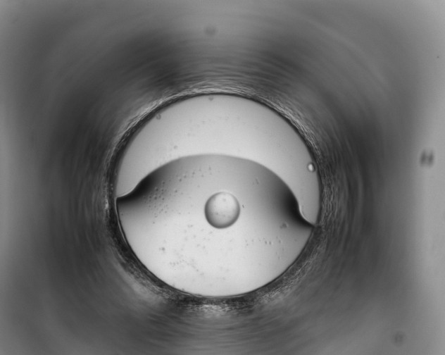 X0000099230302200805151636