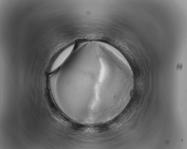 X0000099230303200805151636