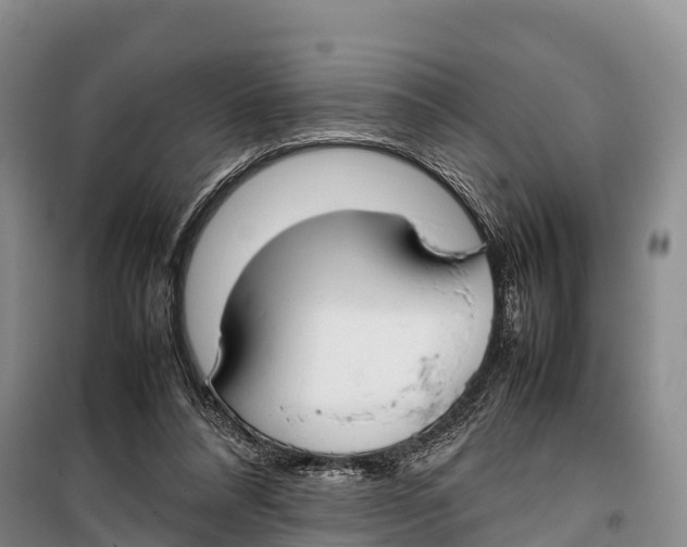 X0000099230304200805151636