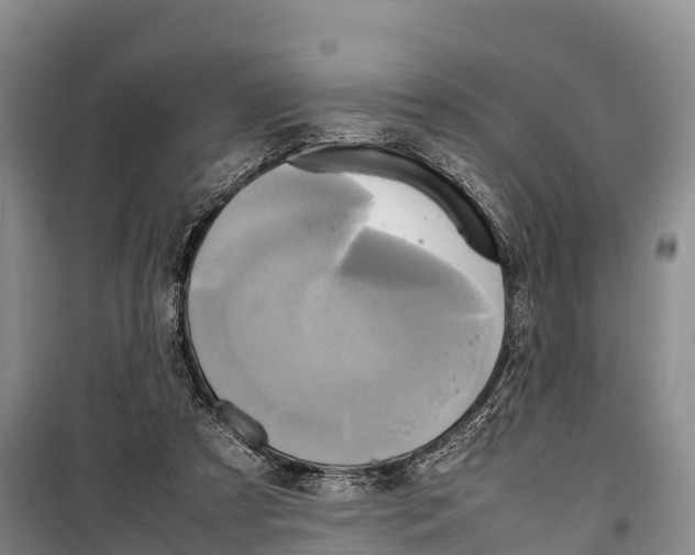 X0000099230305200805151636